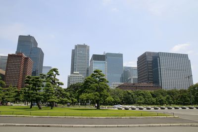 Trees in city against sky