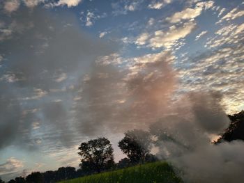 Low angle view of trees against sky