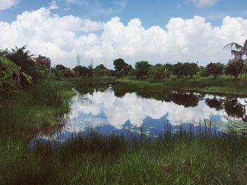 Scenic view of lake by field against sky