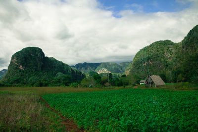 Scenic view of landscape against cloudy sky