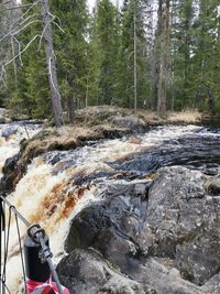 Stream flowing through rocks in forest