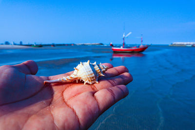 Close-up of hand holding sea against clear blue sky