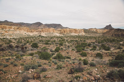 Scenic view of desert against sky