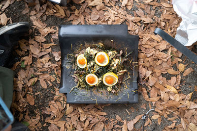 High angle view of food on dry leaves