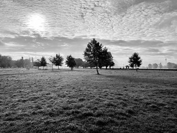 Trees on field against sky