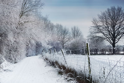 Bare trees on snow covered field against sky