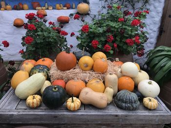 A table full of pumpkins and squash