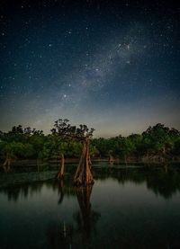 Scenic view of lake against sky at night