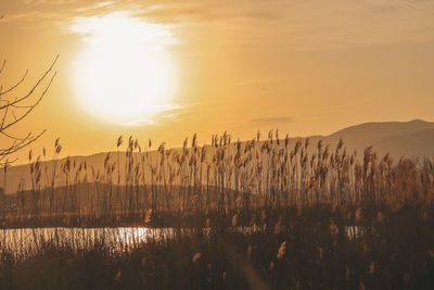 Scenic view of lake against sky during sunset