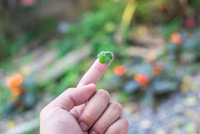 Close-up of hand holding leaf