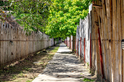 Empty footpath amidst plants against buildings