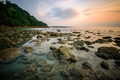 Rocks on beach against sky during sunset