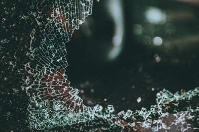 Close-up of broken spider web on window