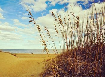 Scenic view of beach against sky