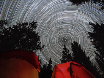 Low angle view of trees against sky at night