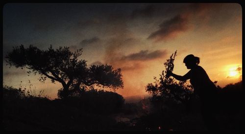 Silhouette of person holding tree against sky during sunset