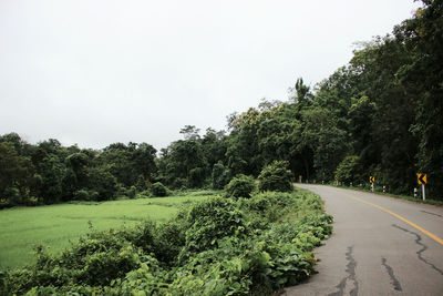 Road amidst trees against clear sky