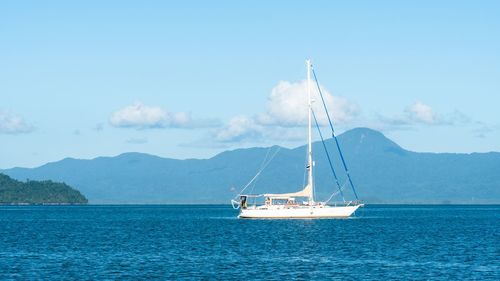 Sailboat sailing on sea against sky