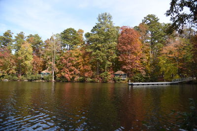 Scenic view of lake by trees during autumn