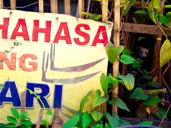 Close-up of text on tree