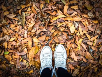 Low section of person standing on dry maple leaves