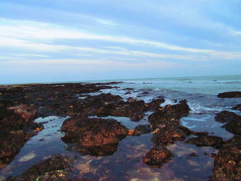 Scenic view of sea against sky