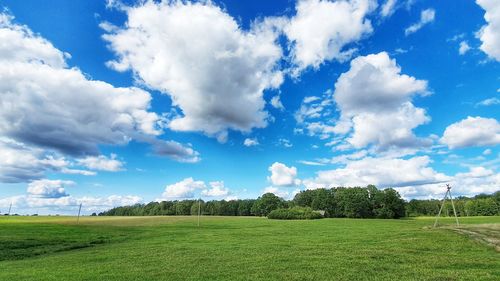 Scenic view of field against sky