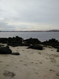 Scenic view of beach against sky