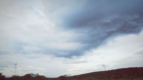 Low angle view of trees against sky