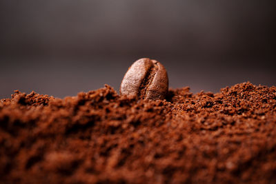 Close-up of chocolate cake