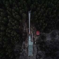 Directly above shot of structure amidst trees in forest