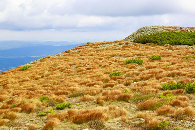 Scenic view of land against sky