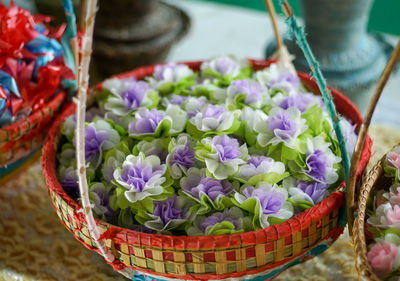 High angle view of purple flowering plants in basket