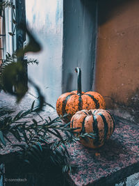 Close-up of pumpkin against wall