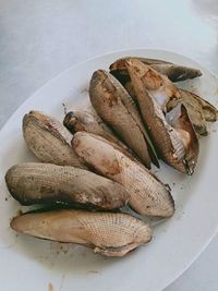 High angle view of fish in plate on table