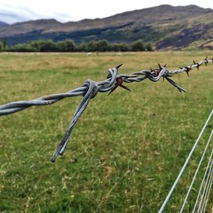 Close-up of barbed wire fence