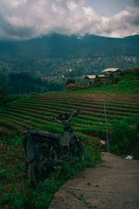 High angle view of agricultural field against sky