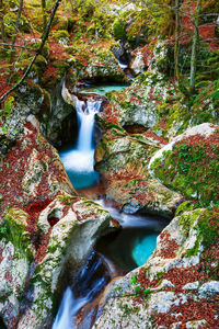 Scenic view of waterfall in forest