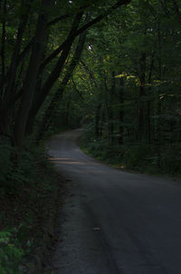 Road amidst trees in forest