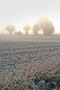 Scenic view of sky during sunset