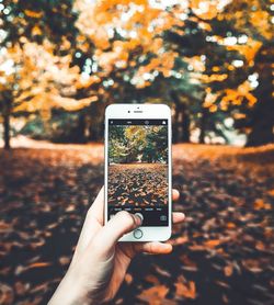 Midsection of person holding smart phone