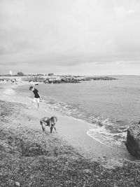 Dog on beach against sky