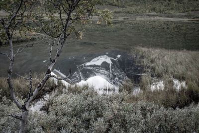 Scenic view of waterfall in forest during winter