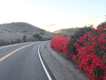 Road amidst trees against clear sky