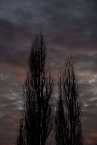 Low angle view of silhouette bare trees against sky at sunset