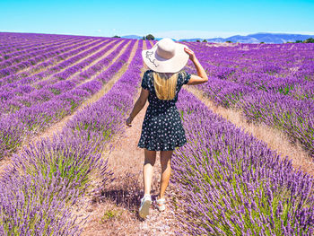 Close up of a young girl with a hat on her head between lavender in southern provence valensole 