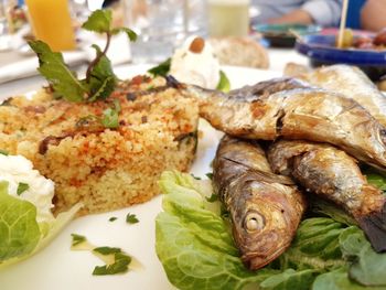 Close-up of seafood in plate