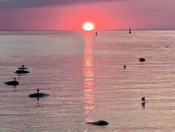 Scenic view of sea against sky during sunset