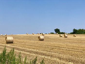 Hay bales on field against clear sky