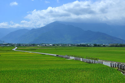 Scenic view of field and mountains against sky